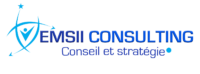 LOGO EMSII CONSULTING